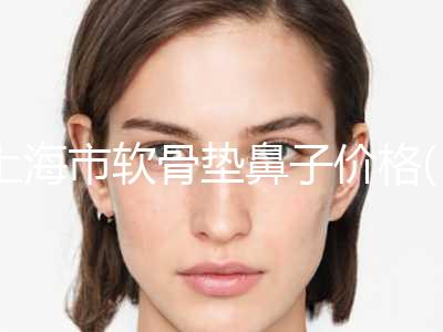 上海市软骨垫鼻子价格(费用)清单查询 医生推荐(12月-6月软骨垫鼻子均价为：30167元)
